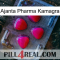 Ajanta Pharma Kamagra 13